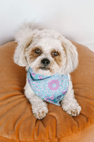 lovers-beach-dog-bandana-small