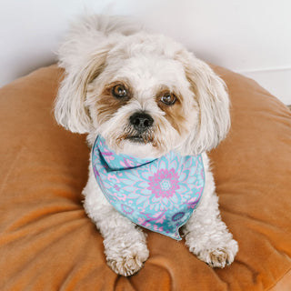 lovers-beach-dog-bandana-small