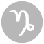 capricorn-stargazer-zodiac-necklace